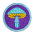 Magic. Detroit Rave Scouts D-Merit Badge, 1.5" Iron-on Embroidered Patch