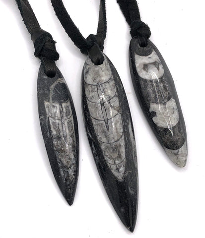 Orthoceras Fossil Pendants, black. Deer leather knotted cord