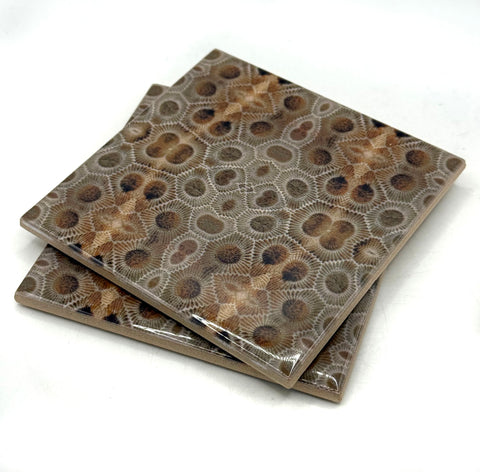 Petoskey Stone Print Ceramic Coaster, Michigan Fossil Tile