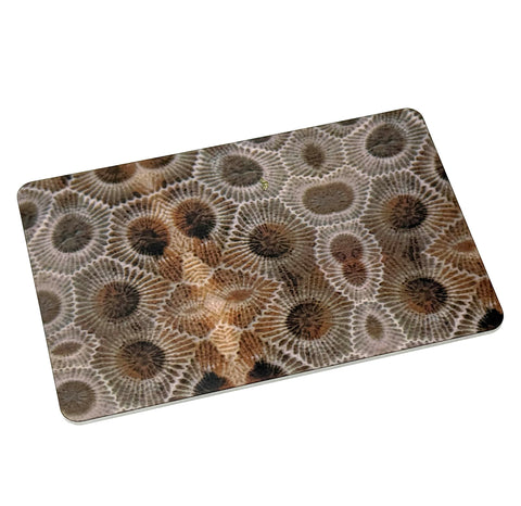Petoskey Stone Print Magnet, Aluminum Refrigerator Magnet, Michigan Souvenir