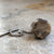 Petoskey Stone Tie Tack, Fossil Tie Pin