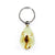 Real Insect Keychains: Scorpions and Green Chafer Beetles