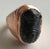 Trilobite Fossil Ring, Size 8. Large Signet-Style Electroformed Copper Band