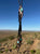Turquoise & Copper Electroformed Cholla Cactus Bolo Tie - single top stone, XL dangle tips