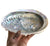 Abalone Smudge Dish, 5"-6" Natural Shell Smudging Bowl