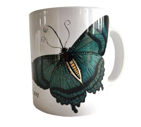 Albertus Seba Butterfly Print Mug, Natural History Coffee Cup. Well Done Goods