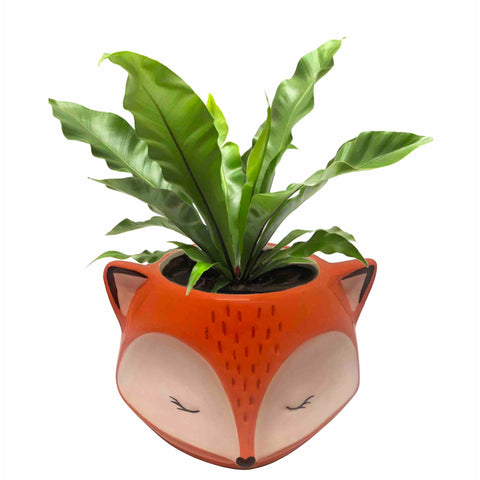 Cute Fox Ceramic Planter