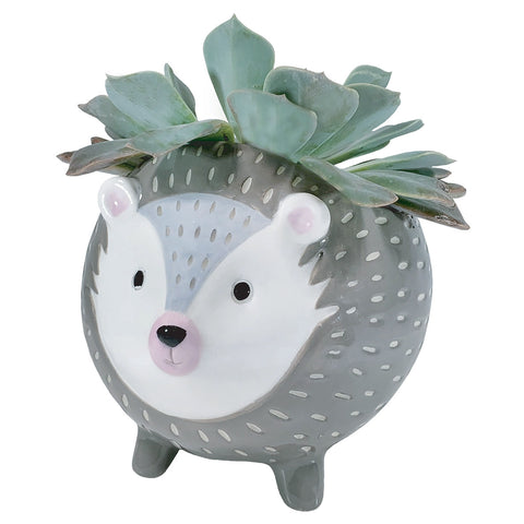 Cute Hedgehog Ceramic Planter