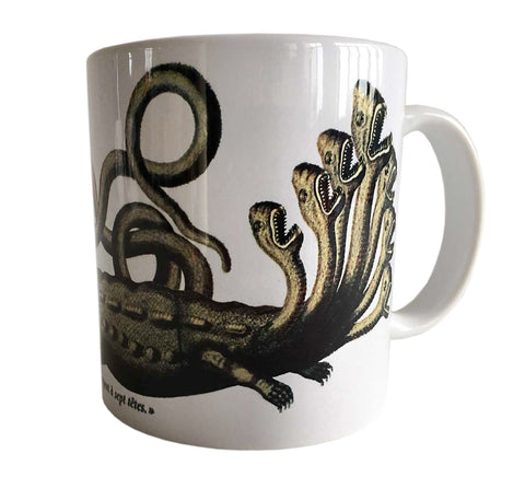 Albertus Seba Hydra Print Mug, Natural History Coffee Cup. Well Done Goods