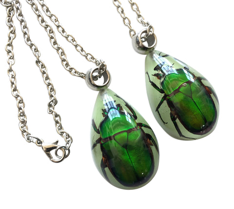 Lucite Beetle Taxidermy Necklace