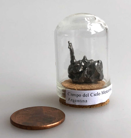 Campo del Cielo Irony Meteorite, Tiny Glass Dome - small