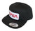 NASA Worm Logo Black Snapback Cap, Flat Bill Hat, Well Done Goods