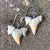Shark Tooth Earrings, fossilized shark teeth, Well Done Goods