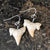 Shark Tooth Earrings, fossilized shark teeth, Well Done Goods
