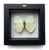 Real Mounted Butterfly: Single White Butterfly, 3D Floating Frame. Ganyra Phaloe